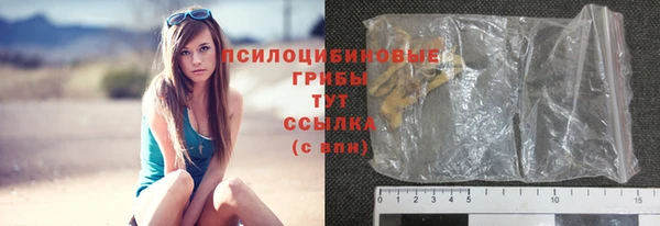 ГАЛЛЮЦИНОГЕННЫЕ ГРИБЫ Белокуриха