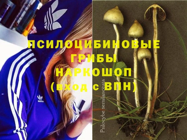 крисы Белоозёрский