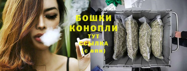 крисы Белоозёрский
