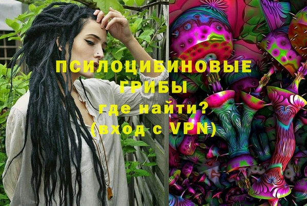ГАЛЛЮЦИНОГЕННЫЕ ГРИБЫ Белокуриха