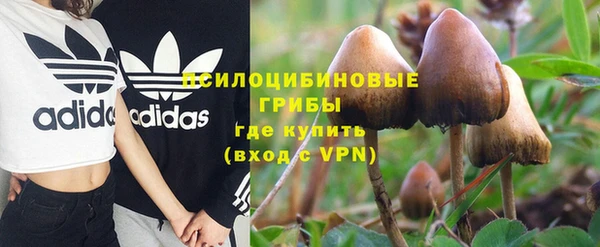 крисы Белоозёрский