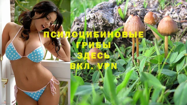 ГАЛЛЮЦИНОГЕННЫЕ ГРИБЫ Белокуриха