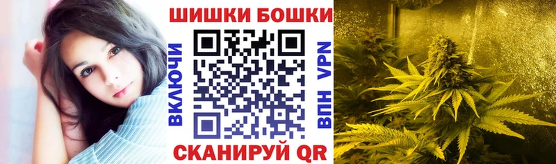 Купить где  Медынь  Шишки марихуана сатива 